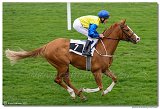 5. dostihy - Cena Rosensturma 