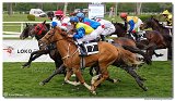5. dostihy - Cena Rosensturma 