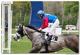 5. dostihy - Cena Rosensturma 