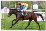 5. dostihy - Cena Rosensturma 
