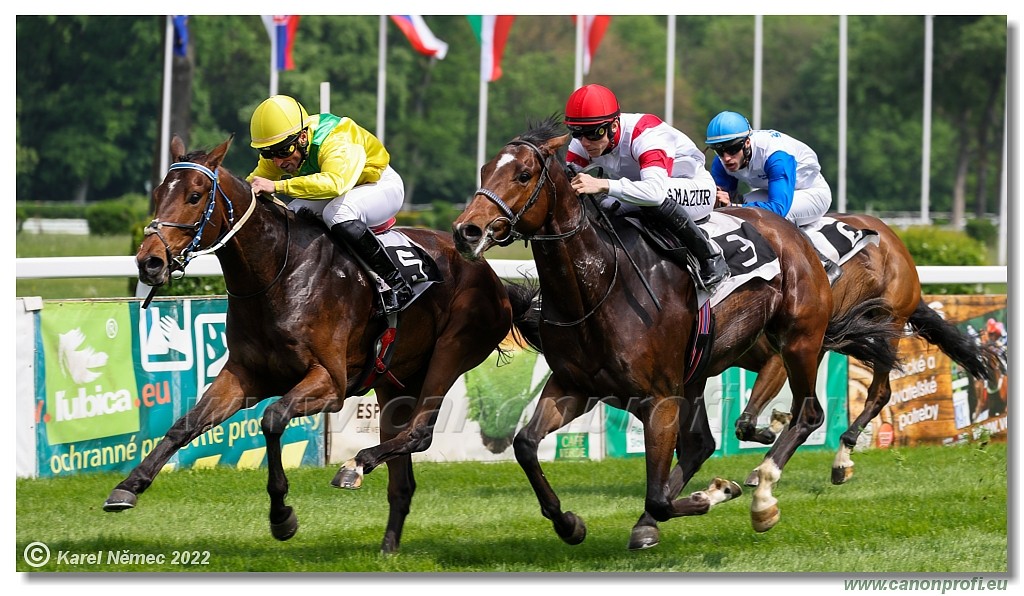 Bratislava - 8. mja 2022 
