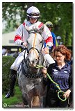 5. dostihy -29. Jarn ma K-K METAL 