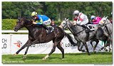 5. dostihy -29. Jarn ma K-K METAL 