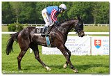 5. dostihy -29. Jarn ma K-K METAL 