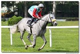 5. dostihy -29. Jarn ma K-K METAL 