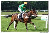 5. dostihy -29. Jarn ma K-K METAL 