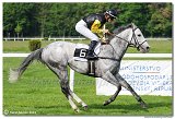 5. dostihy -29. Jarn ma K-K METAL 