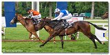 8. dostihy -Cena Vlady 