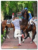 9. dostihy -Cena Fiorentie 