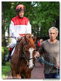 9. dostihy -Cena Fiorentie 