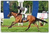 9. dostihy -Cena Fiorentie 