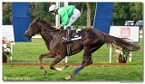 9. dostihy -Cena Fiorentie 