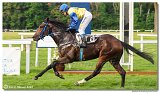 9. dostihy -Cena Fiorentie 