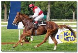 9. dostihy -Cena Fiorentie 