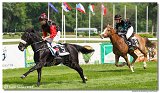 Cena spolonosti Vimar - pony nad 135 cm 