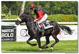 Cena spolonosti Vimar - pony nad 135 cm 