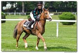 Cena spolonosti Vimar - pony nad 135 cm 