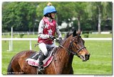 Cena spolonosti Vimar - pony nad 135 cm 