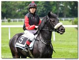Cena spolonosti Vimar - pony nad 135 cm 