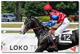 Dostihy ponkov s vkou 135 cm a viac 