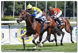 1. dostihy  -29. Cena Muscatita 