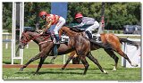 1. dostihy  -29. Cena Muscatita 