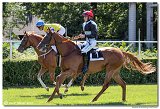 4. dostihy -29. Cena Pats Music spolonosti MAPEI SK 