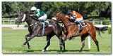 4. dostihy -29. Cena Pats Music spolonosti MAPEI SK 