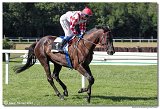 5. dostihy -39. Bratislavsk ma spolonosti ROCKWOOL 