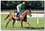 5. dostihy -39. Bratislavsk ma spolonosti ROCKWOOL 
