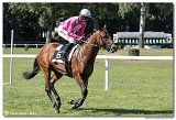 5. dostihy -39. Bratislavsk ma spolonosti ROCKWOOL 