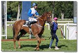 5. dostihy -39. Bratislavsk ma spolonosti ROCKWOOL 