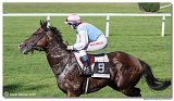 6. dostihy -29. Cena Mysa 