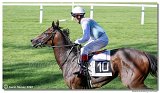 6. dostihy -29. Cena Mysa 