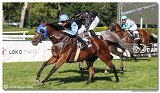6. dostihy -29. Cena Mysa 