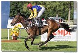 6. dostihy -29. Cena Mysa 