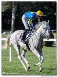 6. dostihy -29. Cena Mysa 