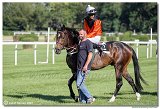 7. dostihy -29. Zlat pohr spolonosti RIGIPS 