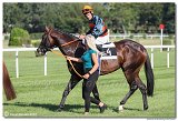 7. dostihy -29. Zlat pohr spolonosti RIGIPS 