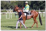 7. dostihy -29. Zlat pohr spolonosti RIGIPS 