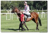 7. dostihy -29. Zlat pohr spolonosti RIGIPS 
