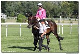 7. dostihy -29. Zlat pohr spolonosti RIGIPS 