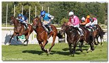 7. dostihy -29. Zlat pohr spolonosti RIGIPS 
