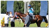 7. dostihy -29. Zlat pohr spolonosti RIGIPS 