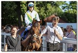 8. dostihy -30. Slovensk derby spolonosti MPL 