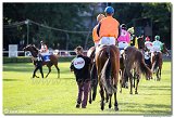 8. dostihy -30. Slovensk derby spolonosti MPL 