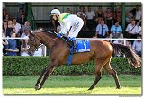 8. dostihy -30. Slovensk derby spolonosti MPL 