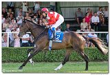 8. dostihy -30. Slovensk derby spolonosti MPL 