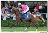 8. dostihy -30. Slovensk derby spolonosti MPL 