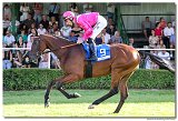 8. dostihy -30. Slovensk derby spolonosti MPL 